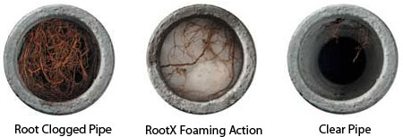 see the difference of rootx cleared pipes