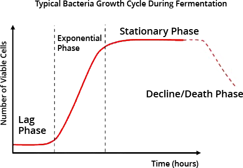 Bacteria Growth Graph